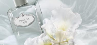 Prada Infusion d’Iris Cedre woda perfumowana